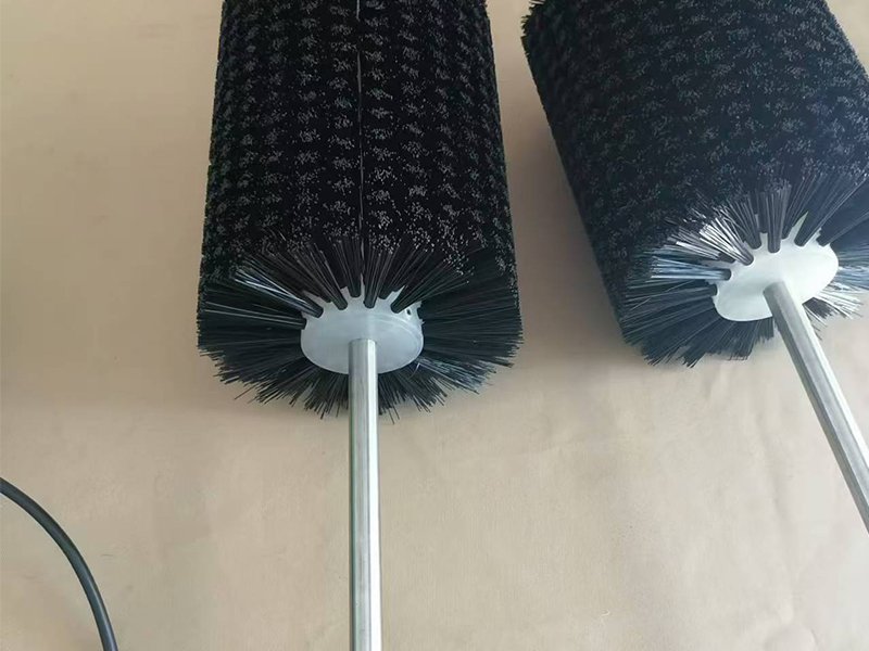 毛刷辊(22)